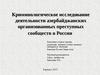 Криминологическое исследование деятельности азербайджанских организованных преступных сообществ в России