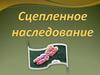 Сцепленное наследование