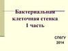 Бактериальная клеточная стенка 1 часть