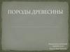Породы древесины