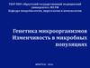 Генетика микроорганизмов. Изменчивость в микробных популяциях