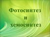 Фотосинтез и хемосинтез