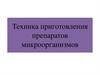 Техника приготовления препаратов микроорганизмов