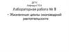 Жизненные циклы околоводной растительности