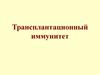 Трансплантационный иммунитет