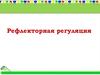 Рефлекторная регуляция