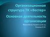 Организационная структура ТК «Вестер»