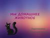 Мое домашнее животное