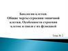 Биология клетки. Общие черты строения типичной клетки. Особенности строения клеток в связи с их функцией