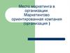 Место маркетинга в организации. Маркетингово ориентированная компания (организация)