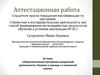 Аттестационная работа. Образовательная программа внеурочной деятельности «Умники и умницы» в начальной школе