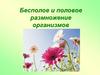 Бесполое и половое размножение организмов