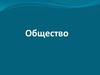 Общество