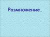 Размножение. Виды размножения