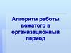 Алгоритм работы вожатого в организационный период