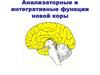 Анализаторные и интегративные функции новой коры