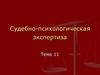 Судебно-психологическая экспертиза