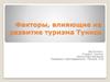Факторы, влияющие на развитие туризма в Тунисе