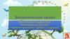 Экологическое право. Декларация по окружающей среде