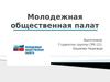 Молодежная общественная палата