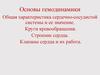 Гемодинамика. Общая характеристика сердечно-сосудистой системы и ее значение. Круги кровообращения. Строение сердца