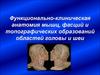 Функционально-клиническая анатомия мышц, фасций и топографических образований областей головы и шеи