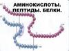 Аминокислоты. Пептиды. Белки