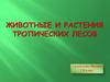 Животные и растения тропических лесов