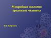 Микробная экология организма человека