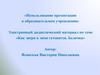 Электронный дидактический материал по теме «Как звери к зиме готовятся. Белочка»