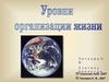 Уровни организации жизни