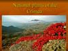 National plants of the Crimea