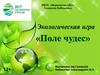 Экологическая игра "Поле чудес"