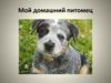 Мой домашний питомец. Фотоальбом