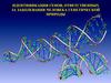 Идентификация генов, ответственных за заболевания человека генетической природы