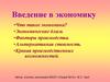 Введение в экономику