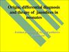 Origin, differential diagnosis and thrapy of jaundices in neonates
