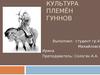 Культура племён гуннов
