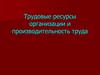 Трудовые ресурсы организации и производительность труда