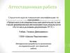 Аттестационная работа. Методическая разработка по выполнению исследовательской или проектной работы
