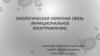 Биологическая обратная связь. Функциональное биоуправление