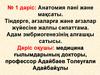 Анатомия пәні және мақсаты. Тіндерге, ағзаларға және ағзалар жүйесіне жалпы сипаттама. Адам эмбриогенезінің алғашқы сатысы