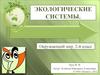 Экологические системы. (2 класс)