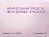 Избирательный процесс и избирательные технологии