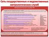 Сеть государственных и ведомственных метрологических служб