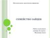 Семейство зайцев. Школьная научно­ практическая конференция
