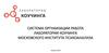 Система оргнаизации работы лаборатории коучинга