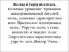 Волны в упругих средах. Волновое уравнение. Продольные и поперечные волны. Вектор Умова
