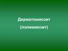 Дерматомиозит (полимиозит)