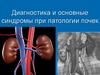 Диагностика и основные синдромы при патологии почек